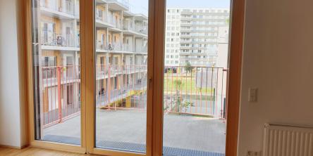 bild3