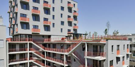 bild1